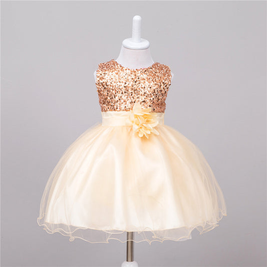 Baby Flower Girl Sequin Dress